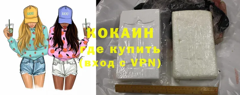 купить наркотики цена  KRAKEN зеркало  Cocaine Fish Scale  Бийск 